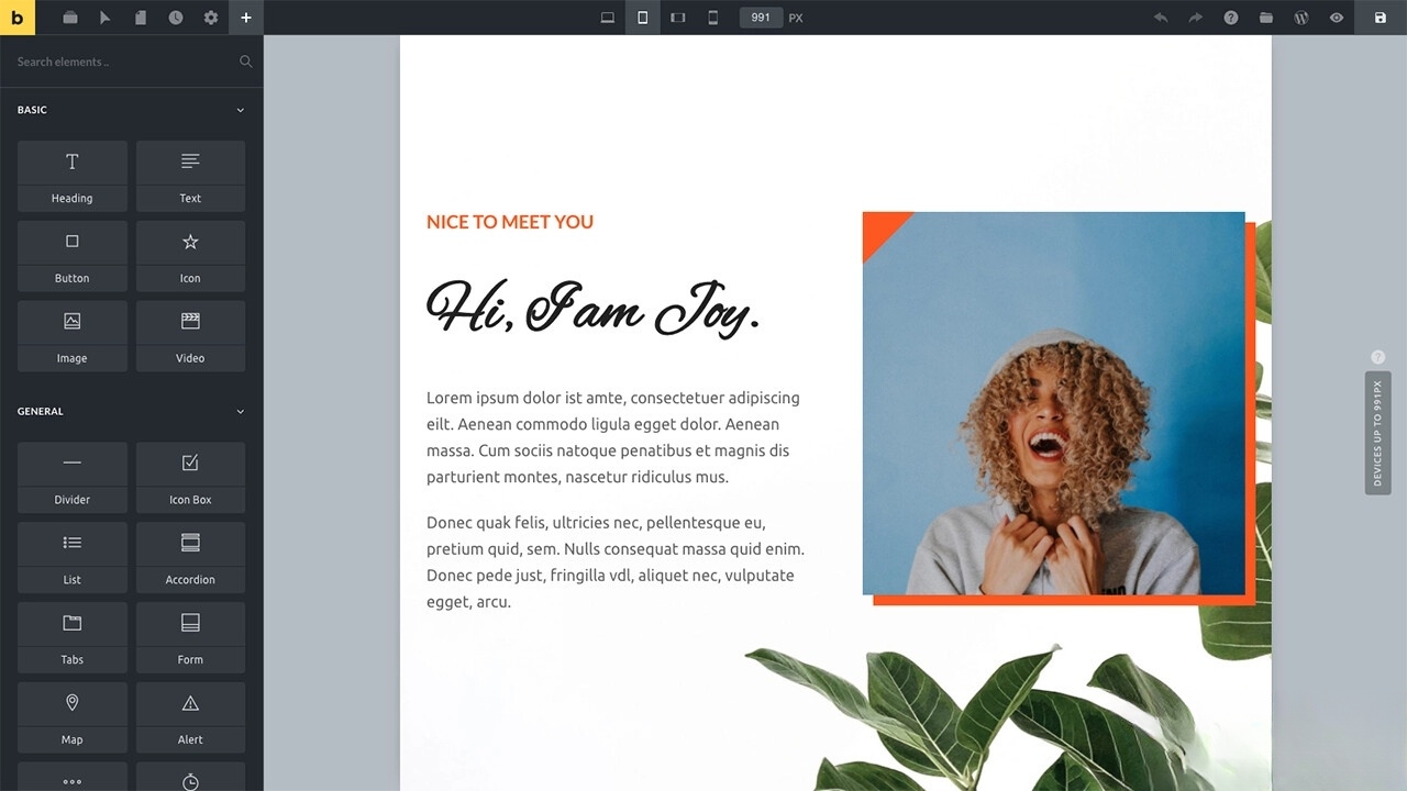Bricks v1.9 主题深度解析：功能、动态数据与响应式设计全指南-壹元库