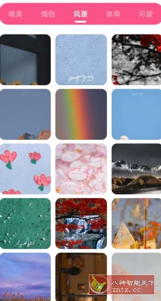 皮皮壁纸 v1.3纯净版-壹元库