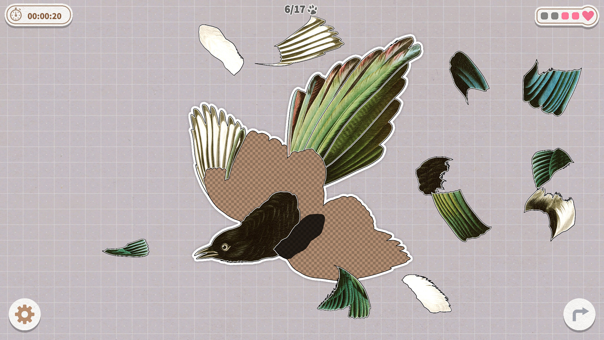 挤在一起的鸟鸟:百鸟拼图游戏 | 官方中文版下载 | 鸟类知识科普-壹元库