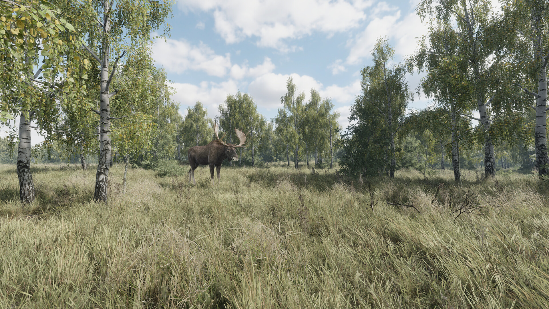 《猎捕行动》游戏评测：顶级狩猎体验，打磨你的射击技巧！-壹元库