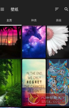 ZEDGE 铃声和壁纸v8.80.2高级版-壹元库