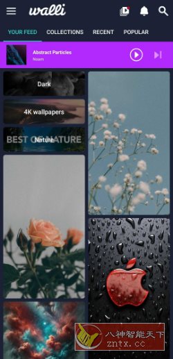 Walli Pro 4K壁纸 2.12.89高级版-壹元库