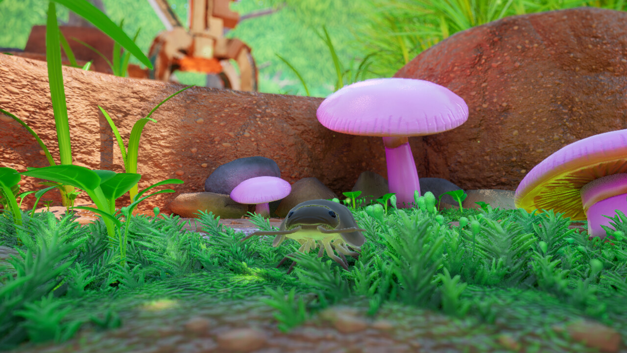 等足虫：网境外传 | 化身西瓜虫探索澳大利亚，团结虫群对抗火蚁-壹元库