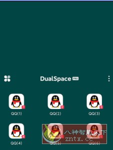 DualSpace Pro 轻松多开v3.0.2专业版-壹元库