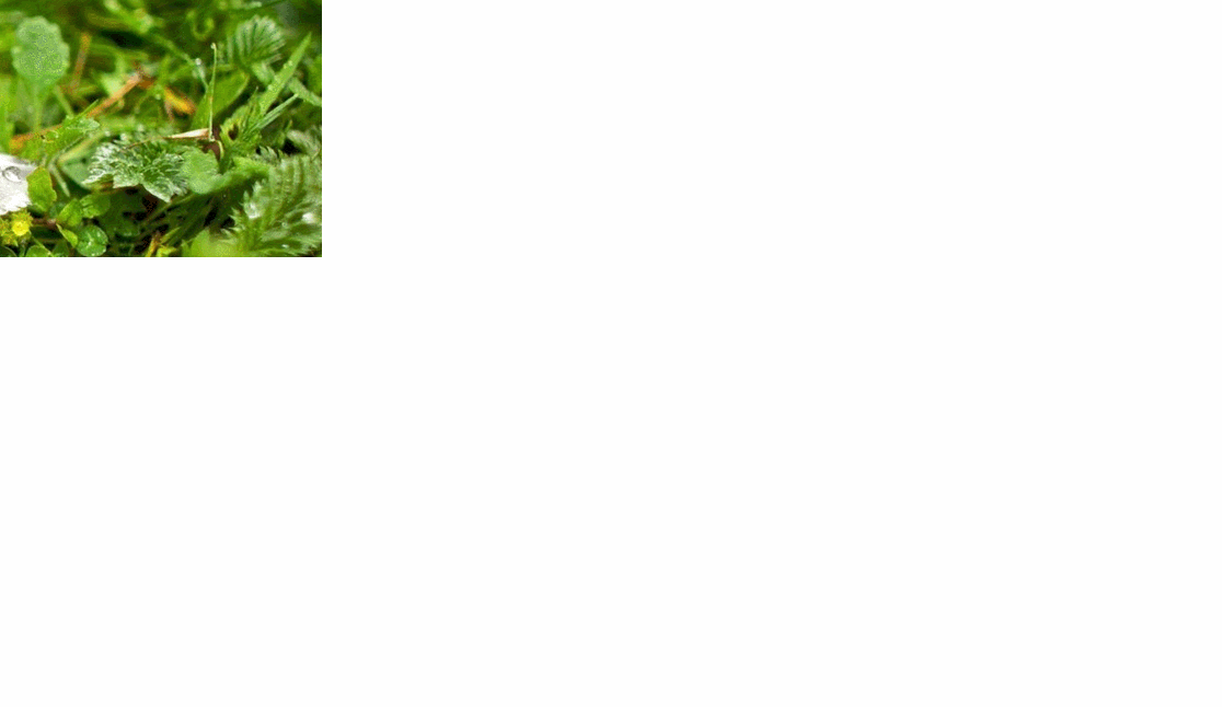 抖音表白整蛊源码全解析：轻松制作爆款互动视频，引爆流量-壹元库