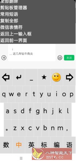 点明输入法v3.0.0729 --专为视障朋友打造的盲用输入法-壹元库