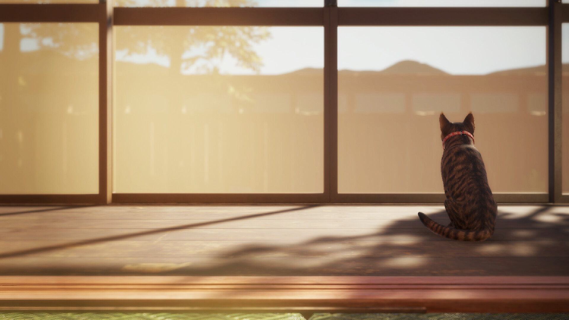 《猫还在逃吗？》游戏评测：化身猫咪探索诡异老宅，揭开记忆碎片背后的真相-壹元库