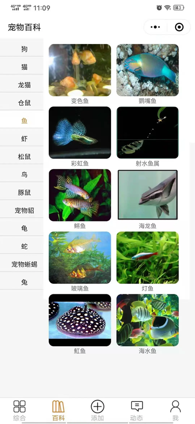 开源宠物社区微信小程序源码：功能模块详解与快速部署指南-壹元库