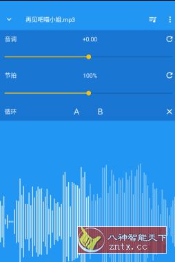 音乐速度调节器 Music Speed Changer v10.3.20解锁版-壹元库