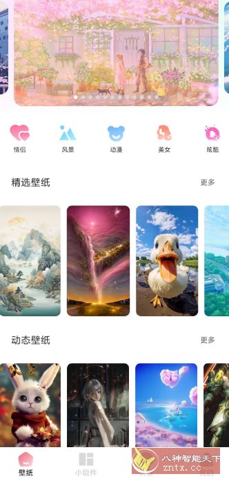 91熊猫桌面主题v1.0.5高级版-壹元库