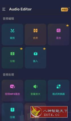 Audio Editor Pro Pro音频编辑器v1.01.34.0410专业版-壹元库