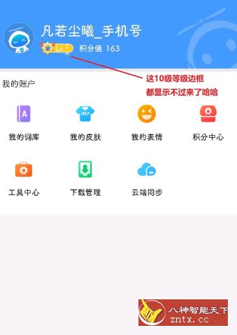 【凡若尘曦修改】讯飞输入法9.1.9466高级lv10特权／谷歌版-壹元库